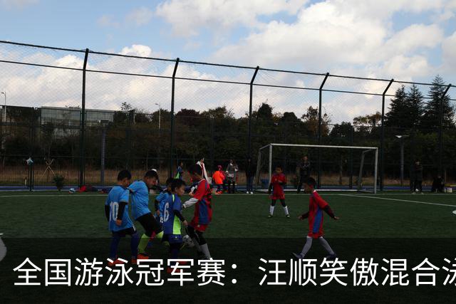 全国游泳冠军赛：汪顺笑傲混合泳 于子迪夺金