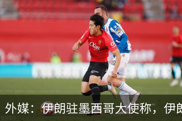 外媒：伊朗驻墨西哥大使称，伊朗队被告知必须在世界杯比赛日当天入境和离开美国