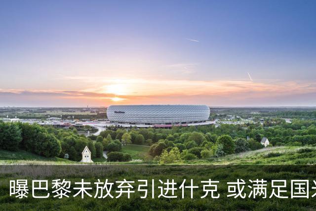 曝巴黎未放弃引进什克 或满足国米7000万欧要求