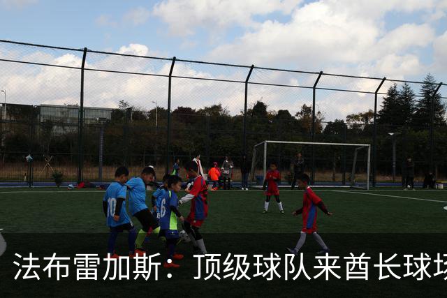 法布雷加斯：顶级球队来酋长球场也会吃力，皇马曾在这里0-3输球