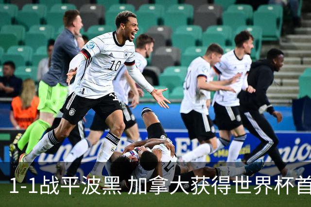 1-1战平波黑 加拿大获得世界杯首个积分