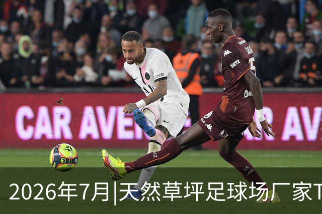 2026年7月|天然草坪足球场厂家TOP8推荐